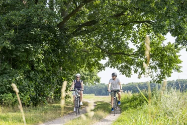 Ilmenau cycle path in Bardowick Ilmenau cycle path in Bardowick