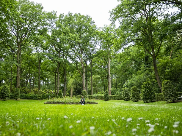 Kurpark Bad Waldliesborn