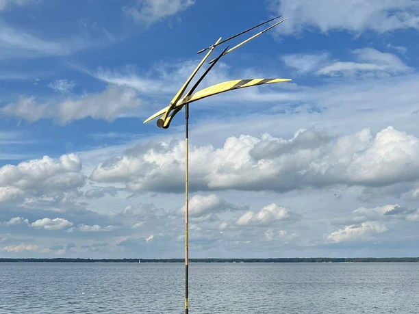 Libelle im Wind Kunstvolle Skulptur "Libelle im Wind" ragt aus der Wasseroberfläche des Steinhuder Meers empor.