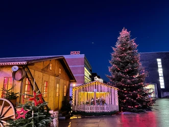 WM 1.JPG Beleuchtete Weihnachtsmarkthütte mit Krippe und großem Tannenbaum bei Nacht.