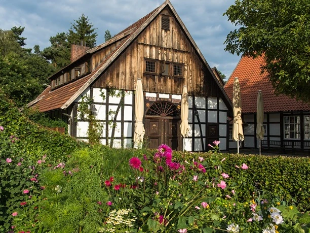 Blick aus Conc aus Garten.jpeg