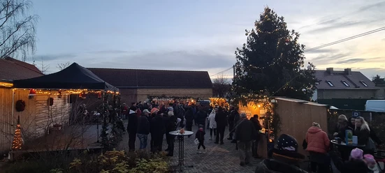 Das Bild zeigt einen Weihnachtsmarkt in der Dämmerung, mit Menschen, die sich um festlich geschmückte Stände und einen großen, beleuchteten Weihnachtsbaum versammeln, während die Lichter und Dekorationen eine gemütliche Atmosphäre schaffen.
