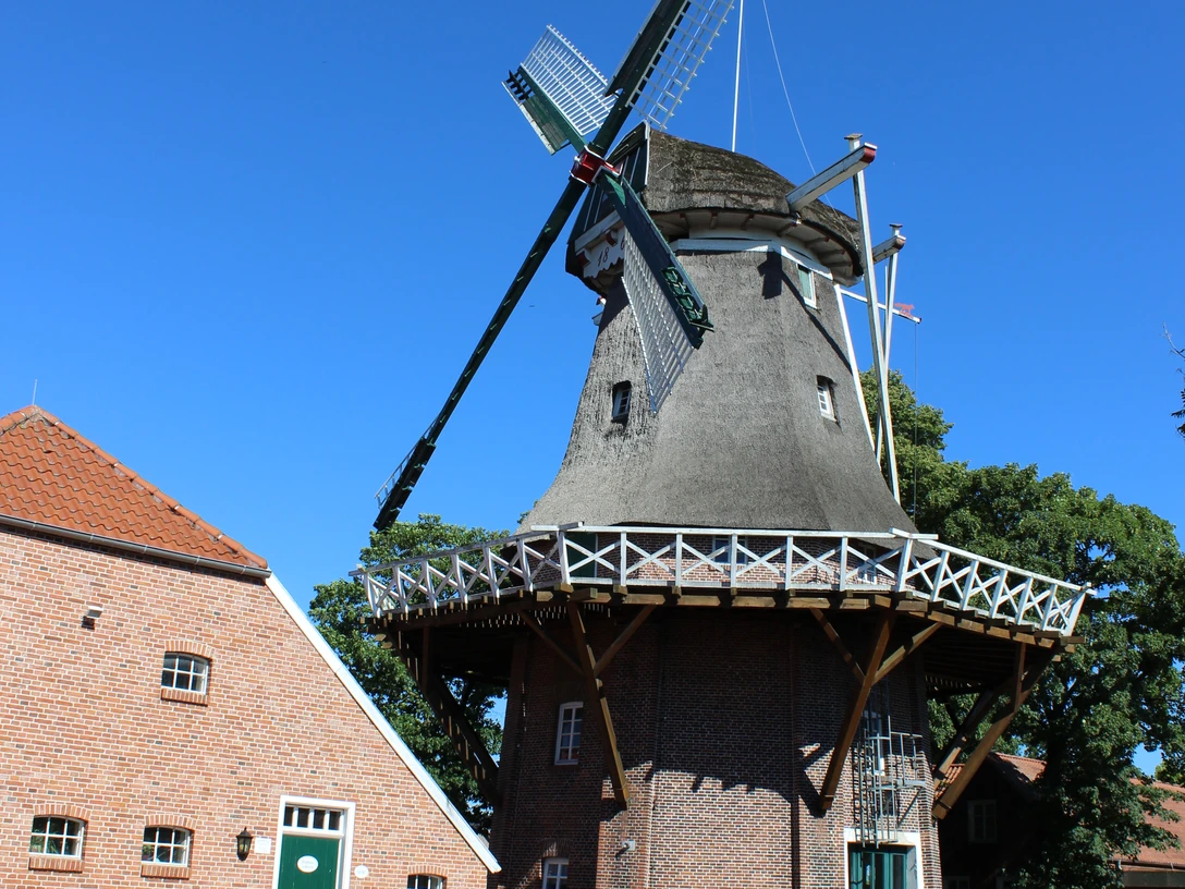 Mühle Hahnentange, Rhauderfehn, Ostfriesland Historische Windmühle mit Backsteinunterbau, hölzernem Galeriegang und vier großen Flügeln vor klarem blauem Himmel.