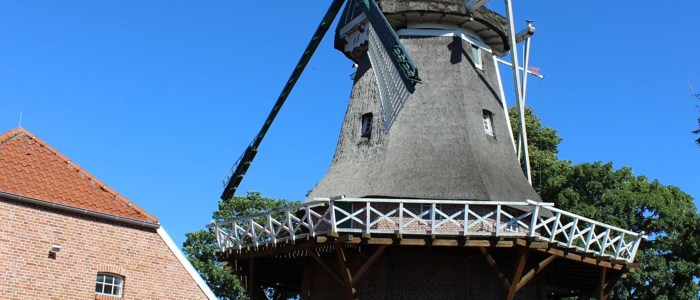 Mühle Hahnentange, Rhauderfehn, Ostfriesland Historische Windmühle mit Backsteinunterbau, hölzernem Galeriegang und vier großen Flügeln vor klarem blauem Himmel.