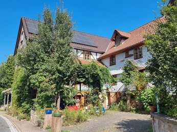 Lebendiges Bienenmuseum