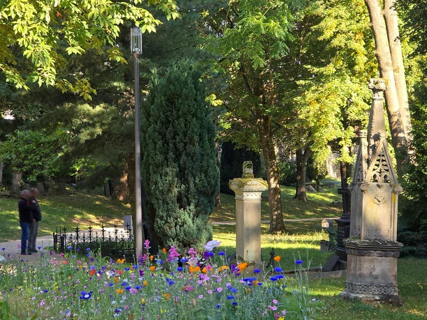 Totenhagen Wildblumen