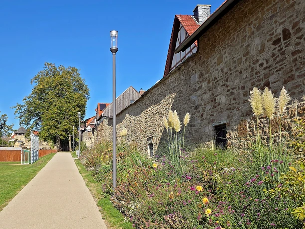 Schiesshagen Stauden