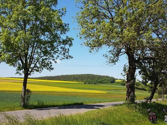 Schwalm-Radweg im Sommer