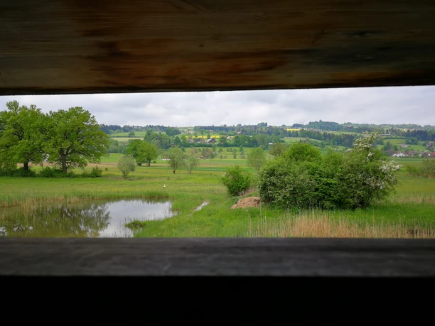 Pro Natura_Ronfeld_Beobachtungshütte