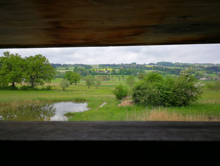 Pro Natura_Ronfeld_Beobachtungshütte