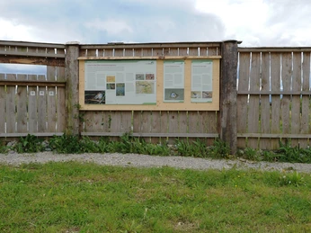 Hochdorf_Naturerlebnispfad_(C)_Nilaus Troxler_1.jpg