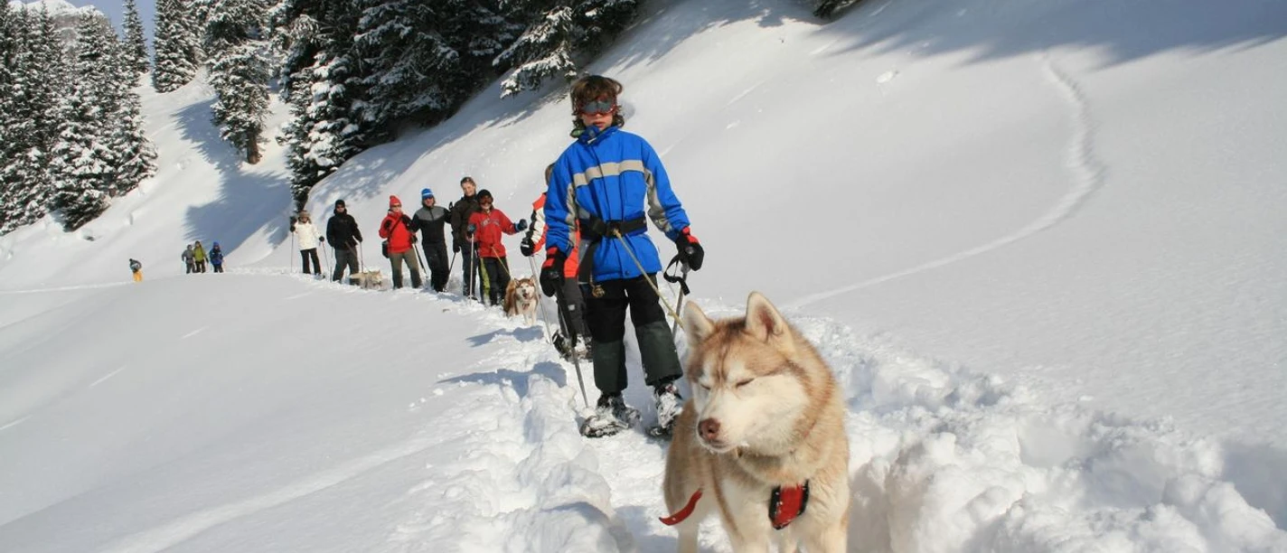 Hüttenhotel Husky-Lodge