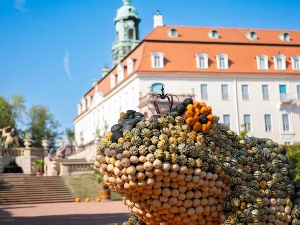 Große Froschskulptur aus Kürbissen vor Lichtenwalder Schloss, blauer Himmel im Hintergrund.