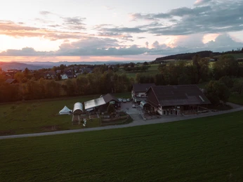 Müswangen_Bendlihof_Yannik Buholzer