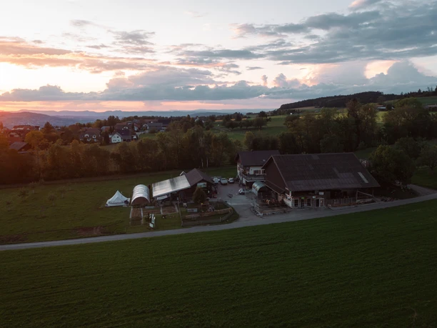 Müswangen_Bendlihof_Yannik Buholzer