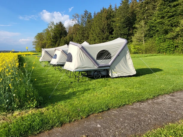 Hohenrain_BTurtle_Gruppenreise