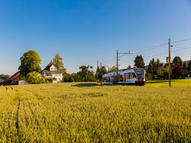 Seetal_Feld_Seetalbahn_Mai_Auswahl-3027_Betschart