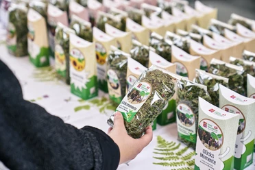 Vente au marché des plantes sauvages et des herbes à Escholzmatt