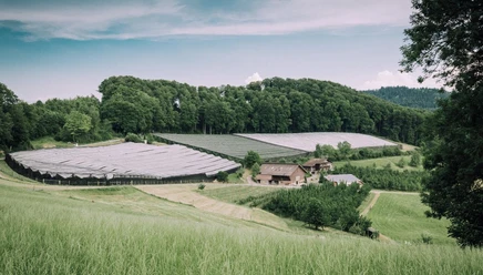 csm_Morgestaern_Hof_Region_Sempachersee_9_d05442658e.jpg
