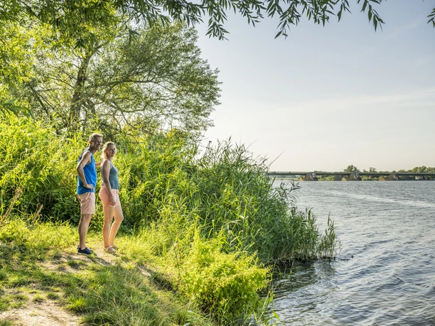Elbvorland bei Rönne Elbvorland bei Rönne