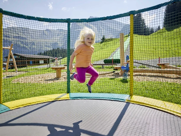 2024-08-28 Goldi Gwundernasenweg (34).jpg