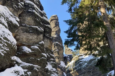 Bielatal Felsige Schlucht mit schneebedeckten Formationen und hohen Kiefern unter klarem, blauem Himmel.