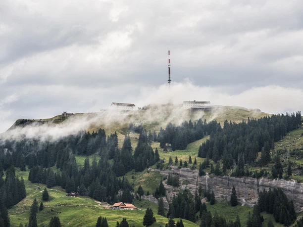 Nebelschwaden ziehen über die Rigi mit Sendemast, Bergwiesen, Felsen und Tannenwald