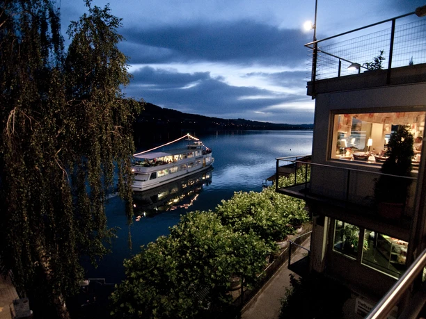 Meisterschwanden_Delphin_Abendstimmung