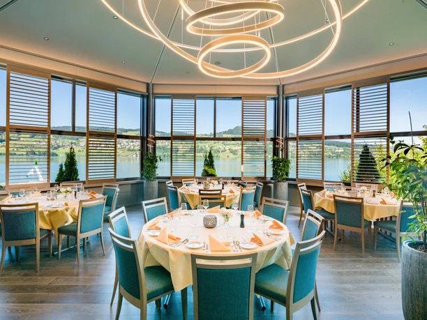 Meisterschwanden_Delphin_Panoramasaa