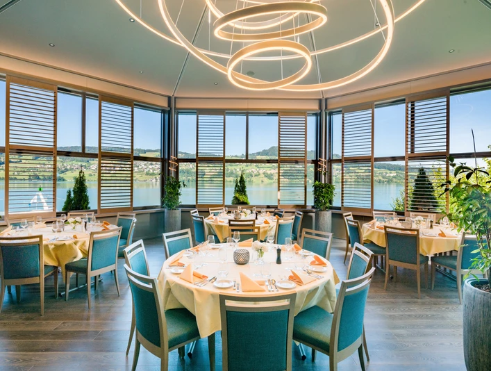 Meisterschwanden_Delphin_Panoramasaa