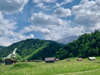 Die Skisprungschanze