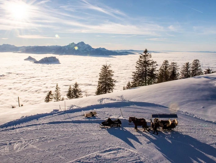 Kutschenfahrt auf der Rigi