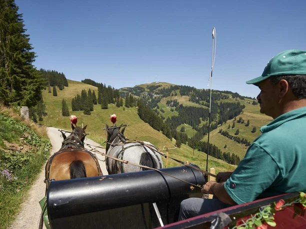 Kutschenfahrt auf der Rigi