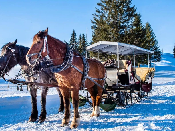 Carriage ride on the Rigi