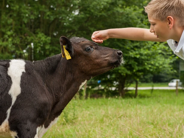 Unterwegs auf der Bauernhoftour