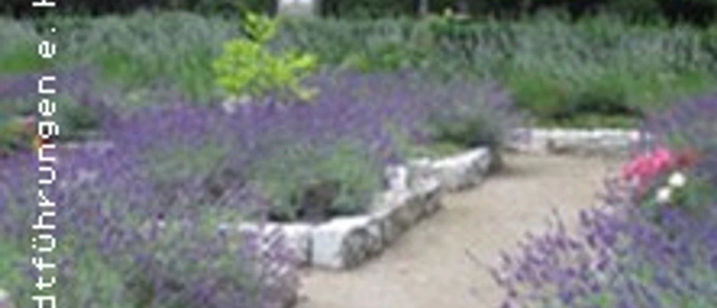 Ein friedlicher Garten mit Lavendelbeeten, flankiert von einem unauffälligen hellen Wegesystem.