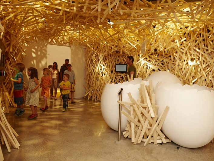 Discovery tour heroes & birds