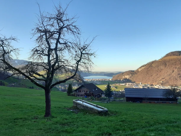 Stans_Obereggenburg Aussicht_Flüeler_Nidwalden
