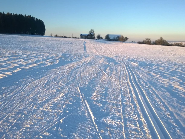 Herlisberg_317_Loipe_Herlisberg_Abendstimmung