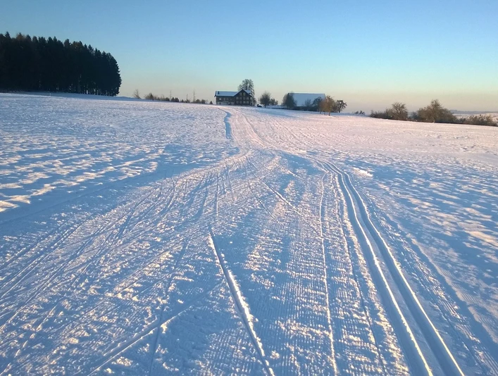 Herlisberg_317_Loipe_Herlisberg_Abendstimmung