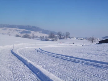 Rickenbach_316_Loipe-Rickenbach_1