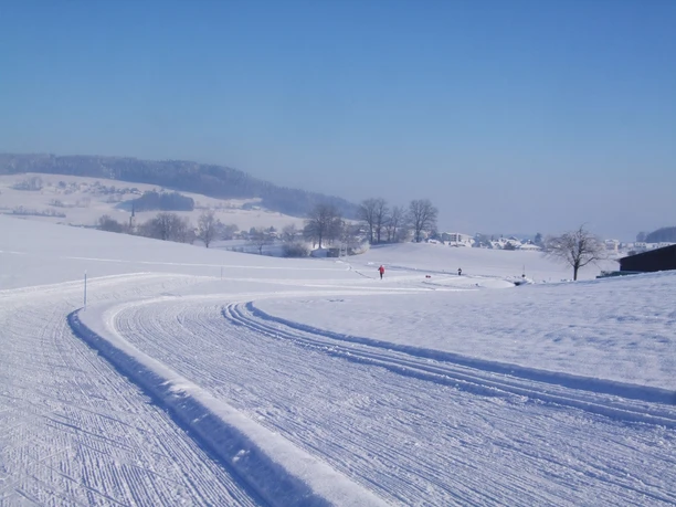 Rickenbach_316_Loipe-Rickenbach_1