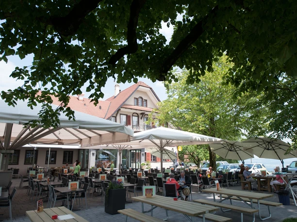 Alpwirtschaft Horben Sommer 12