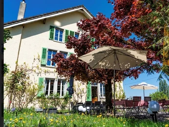 Beinwil am See_Marias Esszimmer_Garten