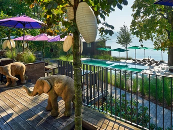 Meisterschwanden_Seerose_Samui Thai_Neu (2)