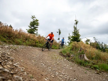 Green Trails Diemelsee