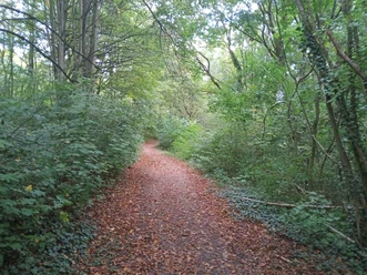 Derletal Weg