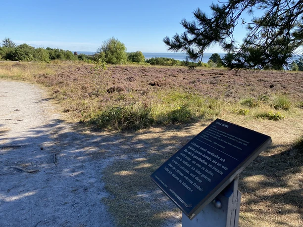 Kunststele Will Sohl