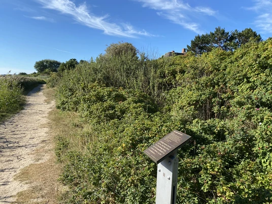 Kunststele Walther Baedeker