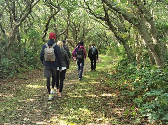 Waldwanderung mit Johanna Katzera